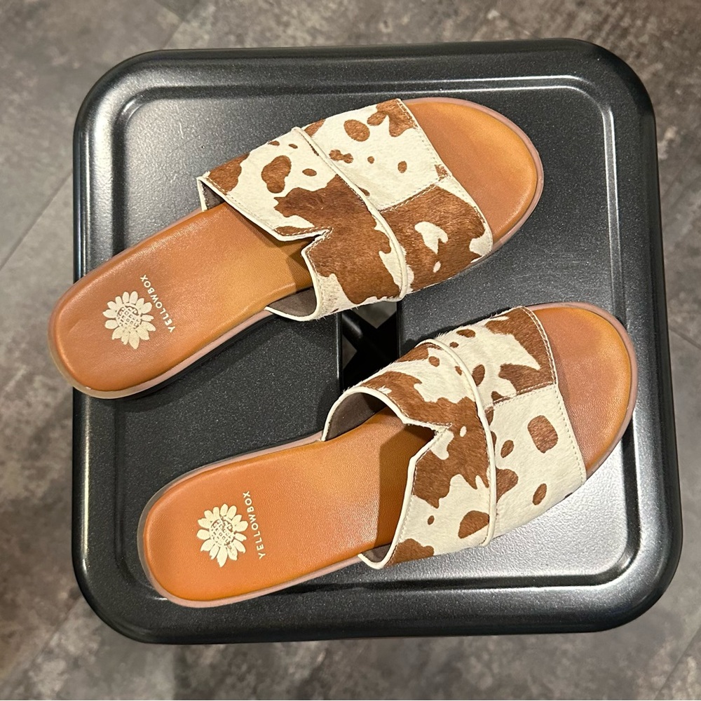Yellow box Slides